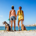 Exploring Pet-Friendly Hospitality in Fort Lauderdale, FL